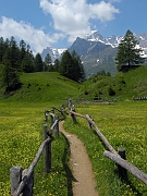 devtra 039m : devtra